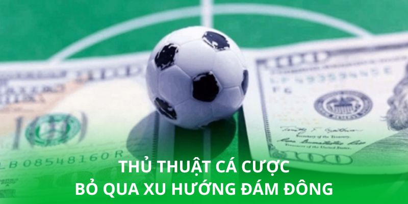 Thủ thuật cá cược bỏ qua xu hướng đám đông