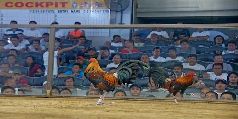 Hệ thống kèo cược đa dạng Hệ thống kèo cược đa dạng