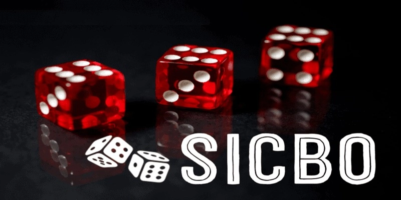 Quan sát lịch sử cược để phân tích và đặt kèo hợp lý