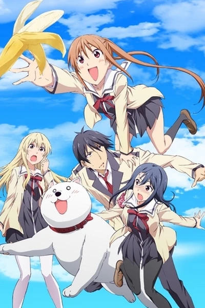 Cô Nàng Ngốc - Aho Girl