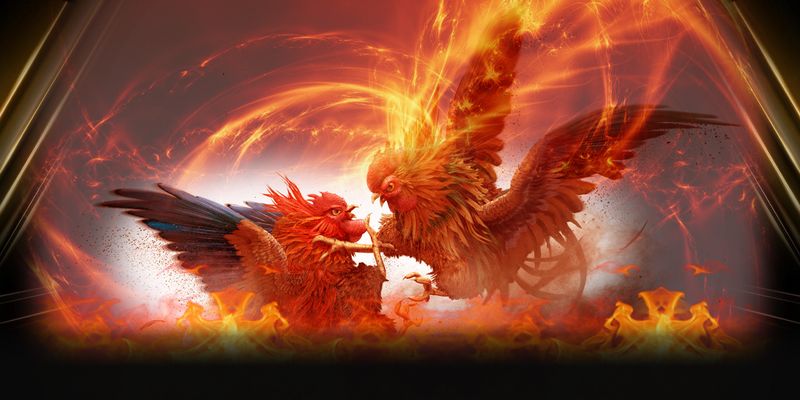 Các loại hình đá gà uw88 phổ biến hiện nay