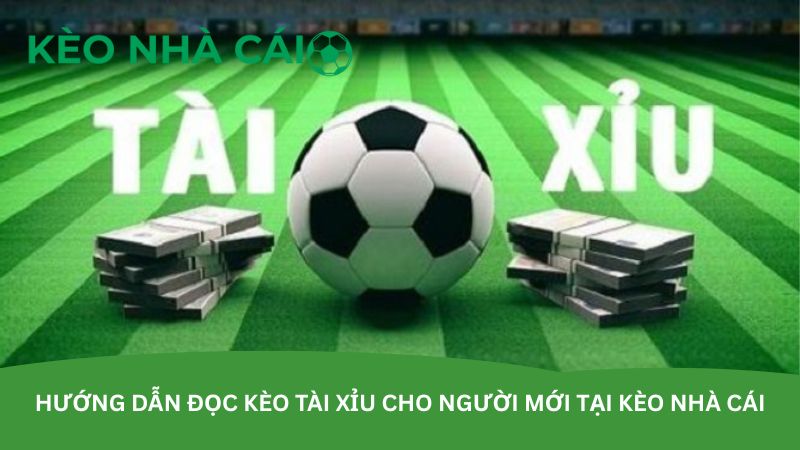 Hướng dẫn đọc kèo tài xỉu cho người mới tại kèo nhà cái