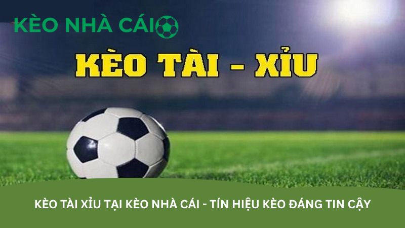 Kèo tài xỉu tại kèo nhà cái - Tín hiệu kèo đáng tin cậy