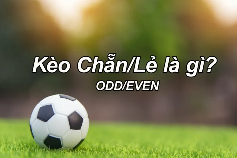 Tham gia nhà cái M88 chơi kèo Chẵn Lẻ Tham gia nhà cái M88 chơi kèo Chẵn Lẻ