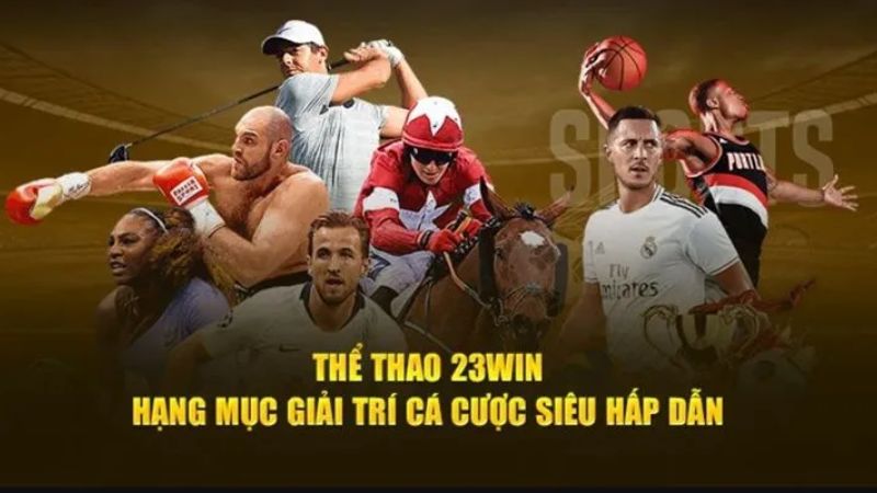 Thông tin chung về thể thao 23Win