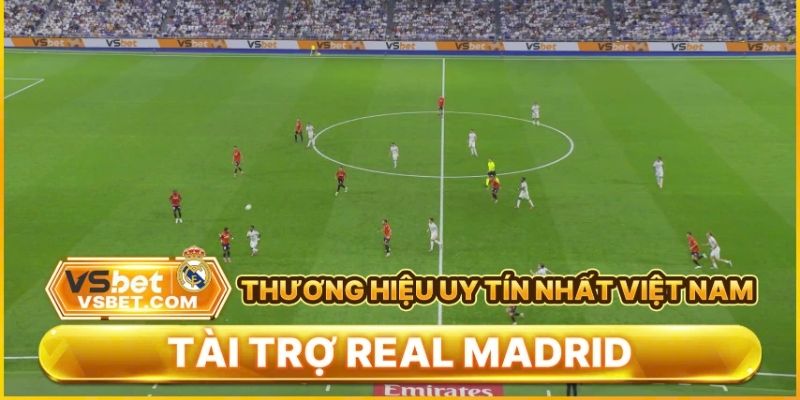 Đôi nét cần biết về nhà cái uy tín Vsbet Đôi nét cần biết về nhà cái uy tín Vsbet