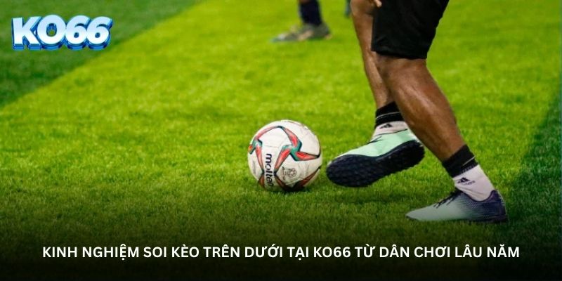 Kinh nghiệm soi kèo trên dưới tại Ko66 từ dân chơi lâu năm Kinh nghiệm soi kèo trên dưới tại Ko66 từ dân chơi lâu năm