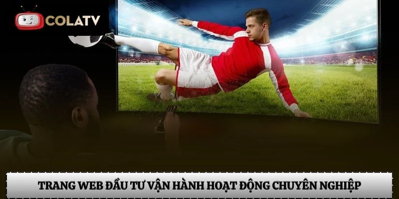 Trang web đầu tư vận hành hoạt động chuyên nghiệp