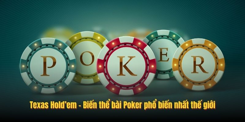 Texas Hold’em - Biến thể bài Poker phổ biến nhất thế giới