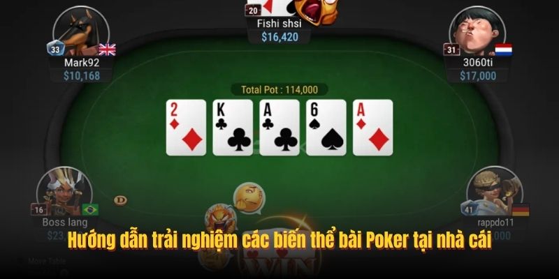 Hướng dẫn trải nghiệm các biến thể bài Poker tại nhà cái