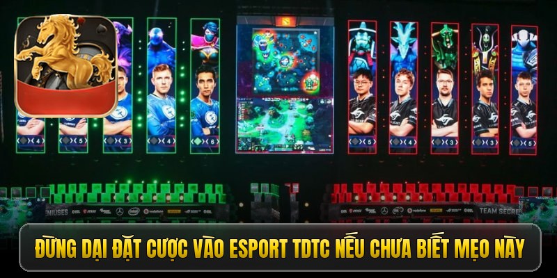 Đừng dại đặt cược vào Esport TDTC nếu chưa biết mẹo này