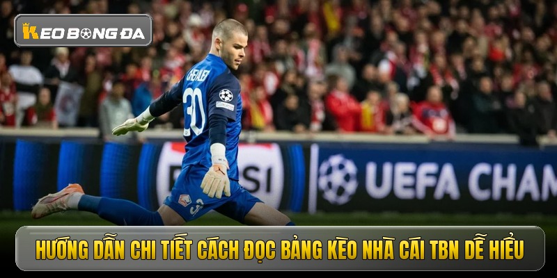 Hướng dẫn chi tiết cách đọc bảng kèo nhà cái TBN dễ hiểu