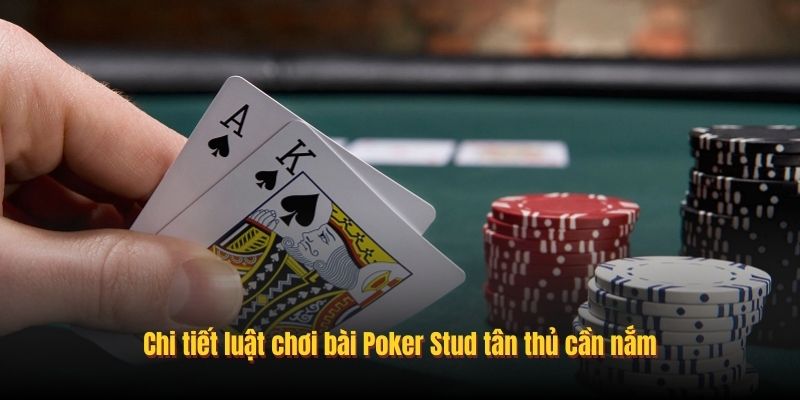 Chi tiết luật chơi bài Poker Stud tân thủ cần nắm