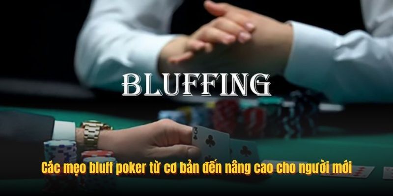 Các mẹo bluff poker từ cơ bản đến nâng cao cho người mới