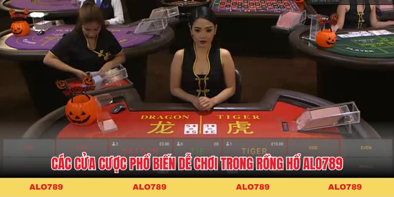 Các cửa cược phổ biến dễ chơi trong Rồng Hổ KM88