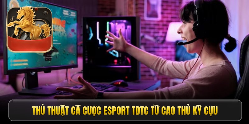 Thủ thuật cá cược Esport tdtc từ cao thủ kỳ cựu